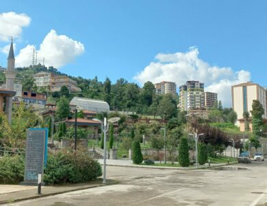 Recep Tayyip Erdogan University